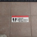 麺屋さすけ本店【手打ち鰹中華そば＋旬の筍ご飯】＠掛川市中央３丁目