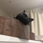 動物病院へ行って焦ったこと
