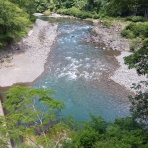 つり吉オヤジの日高川龍神鮎・あまご情報