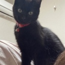 2回目のワクチン💉