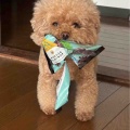 イタズラまるちゃん💕