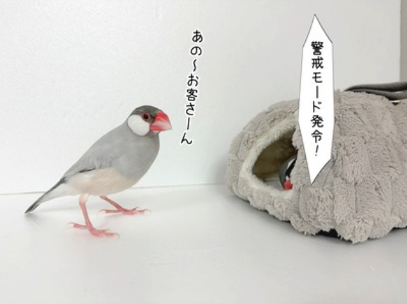怪しい業者がやって来た！
