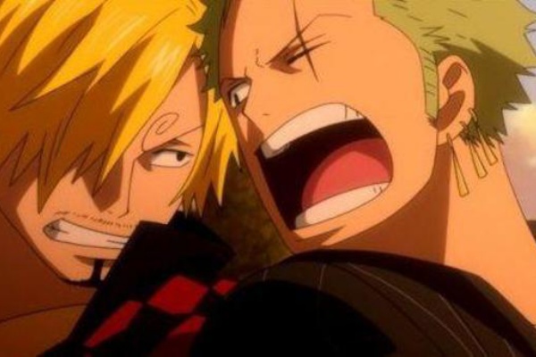アニメ ワンピース ゾロとサンジが6年2か月ぶりに再会 感想 ネタバレ