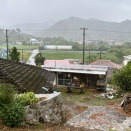 恵みの雨