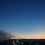 船と花と風景と