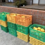 ふら～っとママのときどき通信