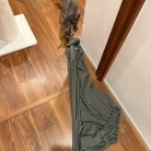 脱ぎたてのズボンを狙われ、変態になる飼い主…