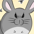 毎日全身タイツ日和