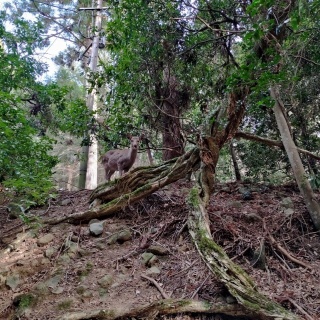 意識改革最前線の日々