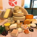 哲学ニュースnwk