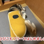 ガオだらけな日々　