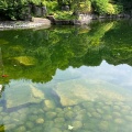 7月9日のお稽古ーお茶会の稽古