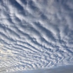 だいじろう日和。