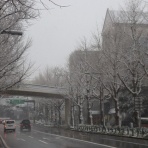 しがない庶民の独り言