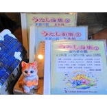 ���ڣãĤ������ʽ������¤餮�βΡ�