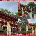 祇園祭2026(6)~八坂神社/花前カレン