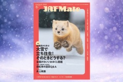 『JAF Mate』の表紙が毎号かわいすぎて悶絶