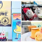 シェビーズのブログ