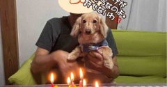 パパの誕生日🎂。
