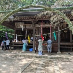 ホーリーバジルの縁結び