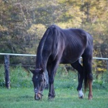 『冷え込み』の画像