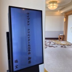 毛玉きょうだい