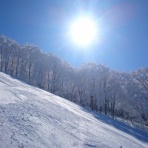 郡山ひいらぎスキークラブ