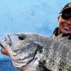 ؤˤ‼️󥰎Ǥ✨
صǺܤΤΤ餻١٤β