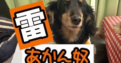 台風接近