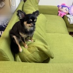 日々のくらし手帖