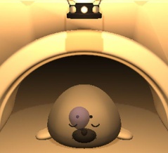 すやすやアザラシ