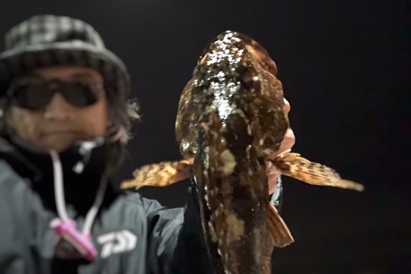 Blue Tetristの釣りノート 須磨のキス釣り