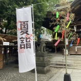『なるべく薬は使うな　vol.4077』の画像