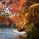 �ص����й��ե��̡��ĥ����٤β���