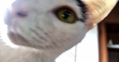 今朝のノリちゃん