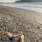 プロレスラー松田慶三の★kezorock★