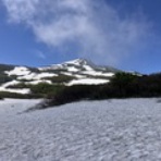 powderを求めて