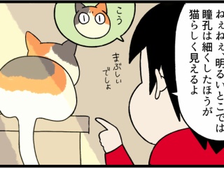 意思疎通不可能な「うちう猫」に猫らしさを教えてみたら…？