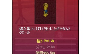 頑張る傭兵黒クマ！ VS シャドウコマンダー