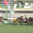 【競馬】中山記念は戸崎騎乗のレーベンスティールがV