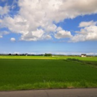 よしりんの つれづれなるままに…