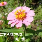 田舎記者の手帳