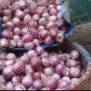 玉ねぎの豊作と好調な市場価格