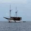 エレガントジェニファー号