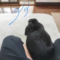 ぜんぶ可愛い。