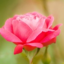 実弟と嫁がデキてた。「弟クン、離婚で寂しそうだったから慰めていて、それでつい…」だとさ。親も親で「お兄ちゃんなんだから、赦してあげれば…」だと。知るか！