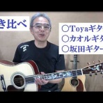 ＴＯＹＡギター　（夢を形に、趣味のオーダーメイドギター）