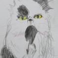 #こんな絵を描いています　#山本京嗣　画　#猫