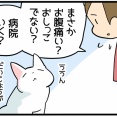 夏が来たなと思った瞬間
