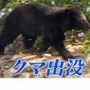 【悲報】住宅敷地内でクマに襲われたとみられる遺体発見　岩手・一関市